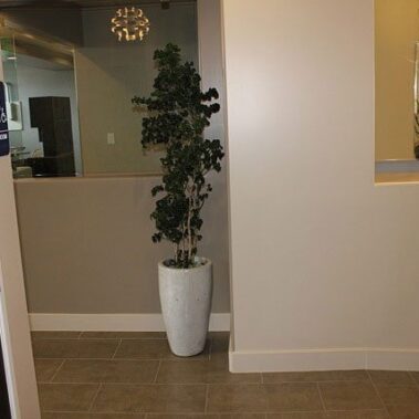 Walking into a dentist office with bathroom and hallway to front desk.